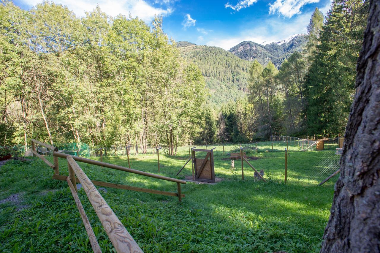 B/B La Locanda Delle Pulci Mezzana (Trentino Alto Adige) Exterior foto